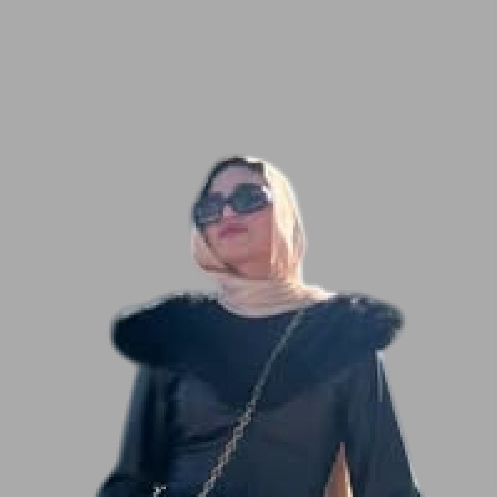 Nora Abo el hassan